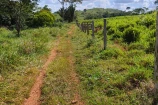 CHACARA A VENDA 4,5 ALQUEIRES EM BURITIS/RO