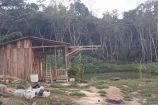  VENDO UMA CHACARA DE 2,7 ALQUEIRES EM BURITIS/RO.