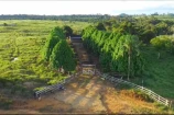 VENDO UMA FAZENDA DE 22.4 ALQUEIRES EM BURITIS/RO.