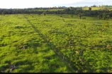 VENDO UMA FAZENDA DE 22.4 ALQUEIRES EM BURITIS/RO.