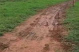 VENDO UMA TERRA DE 12 ALQUEIRES EM SÃO FELIPE