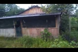VENDO UMA FAZENDA DE 104 ALQUEIRES MINAS NOVAS/RO.