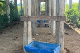VENDO UMA FAZENDA DE 114 ALQUEIRES BURITIS/RO.