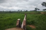 VENDO UMA FAZENDA DE 22.5 ALQUEIRES EM BURITIS/RO.