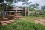 VENDO UMA FAZENDA DE 22.5 ALQUEIRES EM BURITIS/RO.