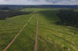 VENDO UMA FAZENDA DE 5.000 ALQUEIRES NO VALE DO GUAPORE/RO.