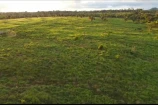 VENDO UMA FAZENDA DE 22.4 ALQUEIRES EM BURITIS/RO.