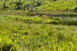 CHACARA A VENDA 4,5 ALQUEIRES EM BURITIS/RO