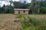  VENDO UMA CHACARA DE 2,5 ALQUEIRES NA LINHA SARACURA A 25 KM BURITIS/RO.