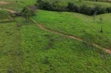VENDO UM SITIO DE 15 ALQUEIRES NA RO 257 ARIQUEMES/RO.