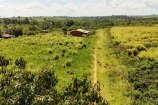 VENDO UMA FAZENDA DE 114 ALQUEIRES BURITIS/RO.