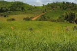 VENDO UMA FAZENDA DE 63 ALQUEIRES EM RIO PARDO/BURITIS/RO.