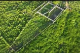 VENDO UMA FAZENDA DE 22.4 ALQUEIRES EM BURITIS/RO.