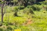 CHACARA A VENDA 4,5 ALQUEIRES EM BURITIS/RO