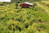 VENDO UMA FAZENDA DE 114 ALQUEIRES BURITIS/RO.