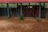 VENDE UMA FAZENDA DE 74 ALQUEIRES EM BURITIS/RO.