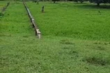 VENDO UMA TERRA DE 12 ALQUEIRES EM SÃO FELIPE
