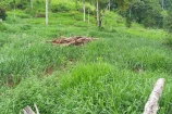 VENDO UMA FAZENDA DE 20 ALQUEIRES EM CAMPO NOVO /RO.