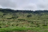 VENDE UMA FAZENDA DE 138 ALQUEIRES EM CAMPO NOVO/RO.