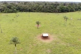 VENDE UMA FAZENDA DE 200 ALQUEIRES EM CANUTAMA/AM