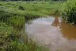 VENDE UMA FAZENDA DE 26 ALQUEIRES EM BURITIS/RO.