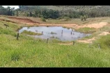 VENDE UMA FAZENDA DE 20 ALQUEIRES EM BURITIS/RO.