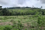 VENDE UMA FAZENDA DE 138 ALQUEIRES EM CAMPO NOVO/RO.