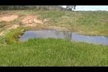 VENDE UMA FAZENDA DE 20 ALQUEIRES EM BURITIS/RO.