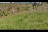 VENDE UMA FAZENDA DE 20 ALQUEIRES EM BURITIS/RO.