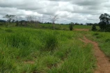 VENDE UMA FAZENDA DE 74 ALQUEIRES EM BURITIS/RO.