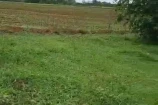VENDO UMA TERRA DE 12 ALQUEIRES EM SÃO FELIPE