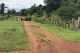 VENDE UMA FAZENDA DE 200 ALQUEIRES EM CANUTAMA/AM