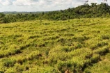 VENDO UMA FAZENDA DE 114 ALQUEIRES BURITIS/RO.