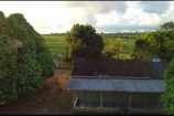 VENDO UMA FAZENDA DE 22.4 ALQUEIRES EM BURITIS/RO.