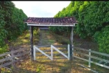 VENDO UMA FAZENDA DE 22.4 ALQUEIRES EM BURITIS/RO.