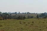 VENDO UMA FAZENDA DE 60 ALQUEIRES EM BURITIS/RO.