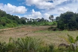 VENDO UMA CHACARA DE 2,5 ALQUEIRES NA LINHA SARACURA A 25 KM BURITIS/RO.