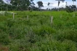 VENDE UMA FAZENDA DE 20 ALQUEIRES EM BURITIS/RO.