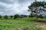  VENDO UMA FAZENDA DE 21 ALQUEIRES EM BURITIS/RO.