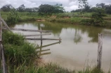 VENDO UMA FAZENDA DE 22.5 ALQUEIRES EM BURITIS/RO.