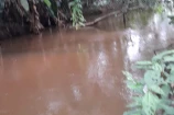  VENDO UMA CHACARA DE 2,5 ALQUEIRES NA LINHA SARACURA A 25 KM BURITIS/RO.