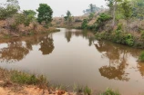 VENDE UMA FAZENDA DE 83 ALQUEIRES EM BURITIS/RO.