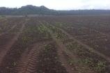 VENDO UMA FAZENDA DE 5.000 ALQUEIRES NO VALE DO GUAPORE/RO.