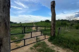  VENDO UMA FAZENDA DE 21 ALQUEIRES EM BURITIS/RO.