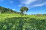  VENDO UMA FAZENDA DE 21 ALQUEIRES EM BURITIS/RO.