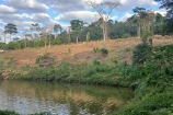  VENDO UMA CHACARA DE 2,7 ALQUEIRES EM BURITIS/RO.