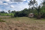  VENDO UMA CHACARA DE 2,5 ALQUEIRES NA LINHA SARACURA A 25 KM BURITIS/RO.