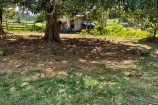 CHACARA A VENDA 4,5 ALQUEIRES EM BURITIS/RO