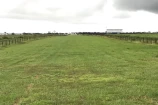 VENDO UMA FAZENDA DE 5.000 ALQUEIRES NO VALE DO GUAPORE/RO.