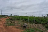 VENDE UMA FAZENDA DE 71 ALQUEIRES MINAS NOVAS BURITIS/RO.